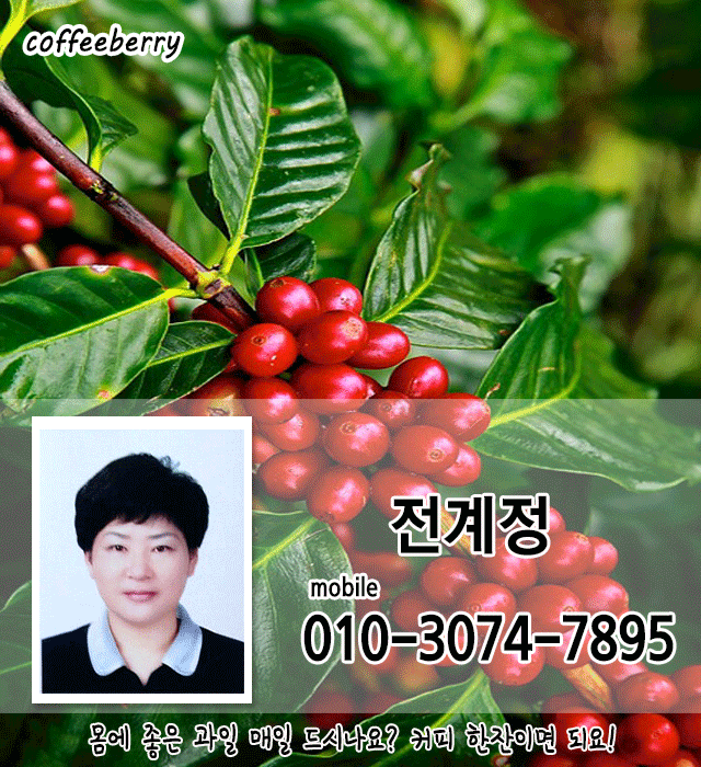 이미지1