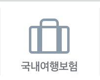 국내여행보험